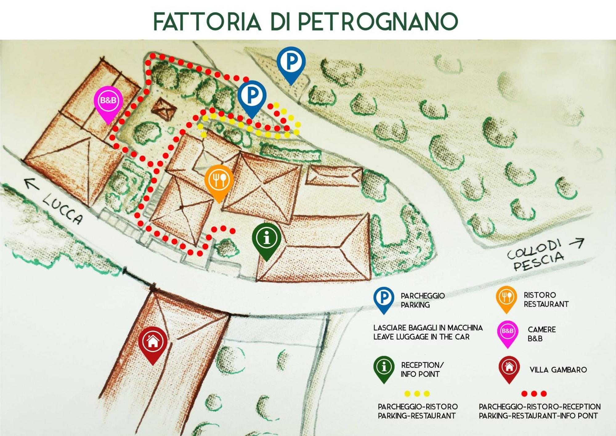 Fattoria Gambaro Di Petrognano Villa Collodi Exteriör bild