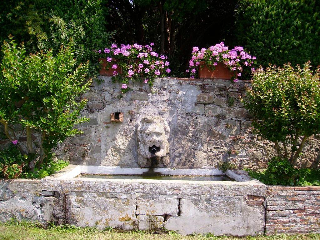 Fattoria Gambaro Di Petrognano Villa Collodi Exteriör bild