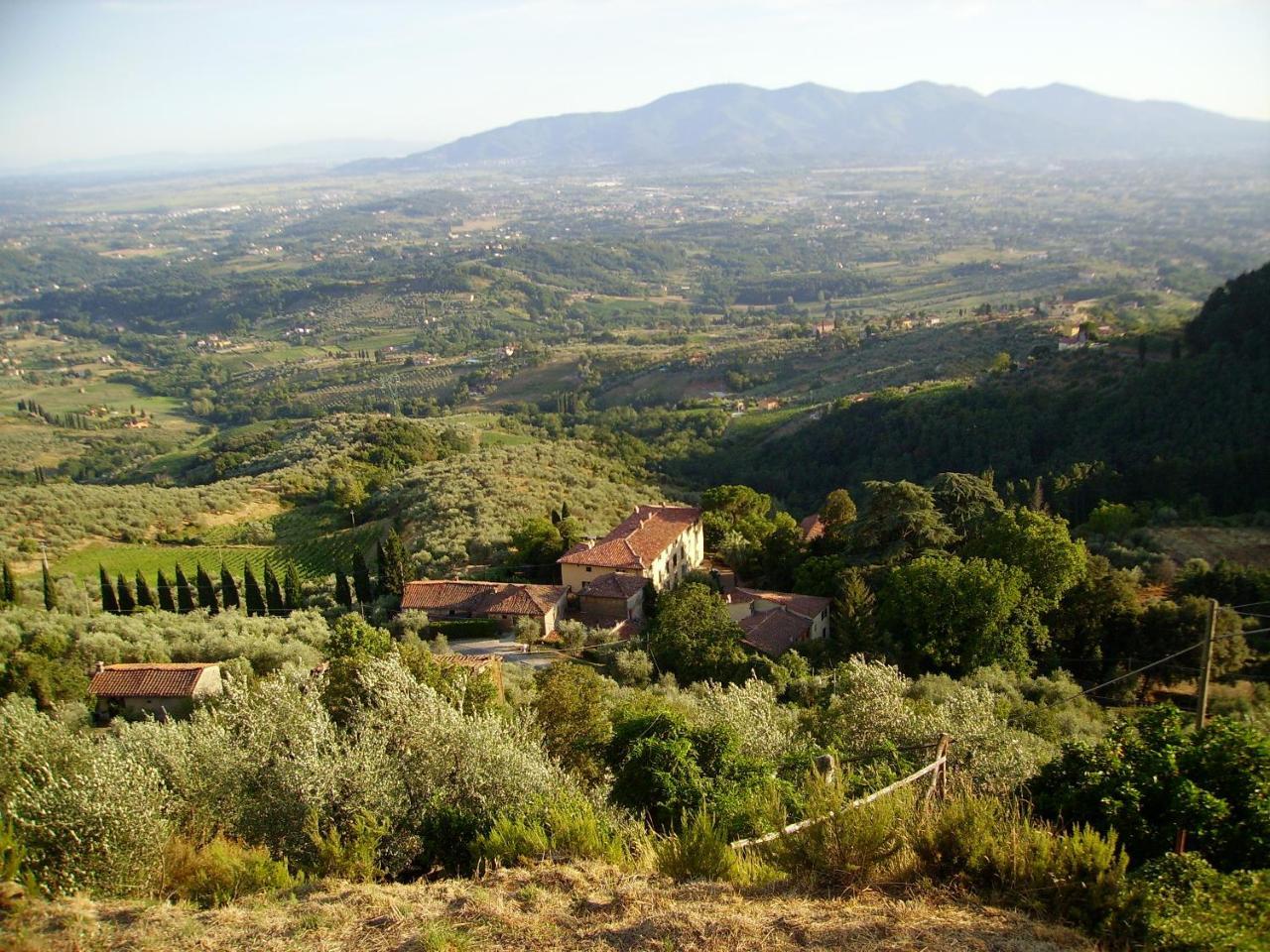 Fattoria Gambaro Di Petrognano Villa Collodi Exteriör bild